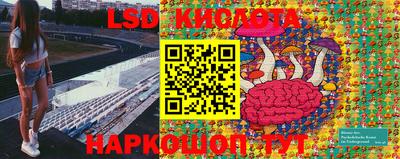 PSILOCYBIN Севастополь