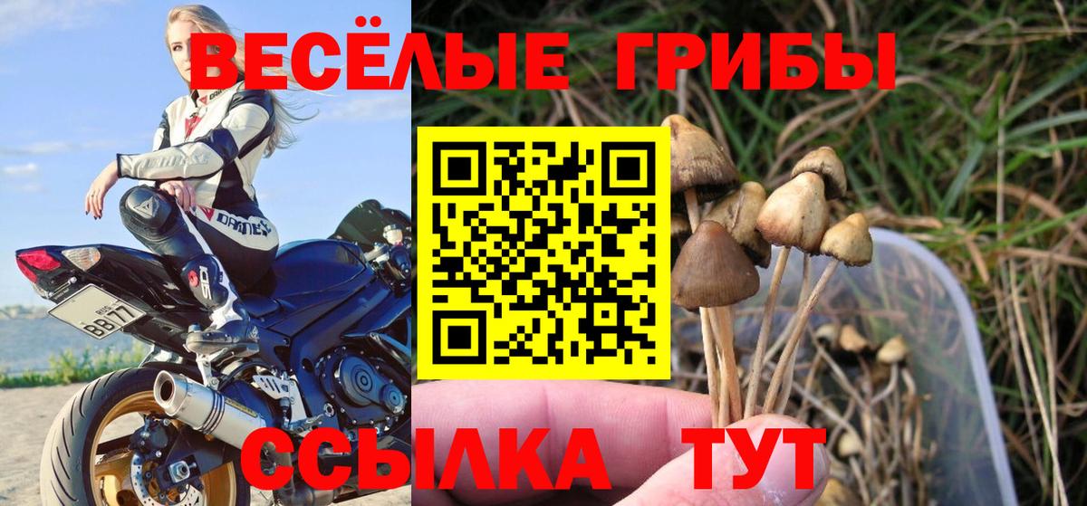Орёл  Псилоцибиновые грибы Cubensis  Галлюциногенные грибы GOLDEN TEACHER  Вход с VPN 